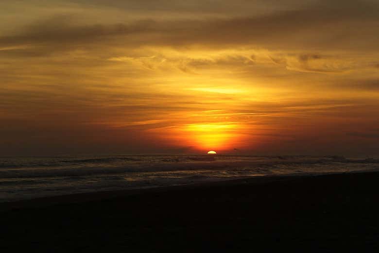 Imagen 5