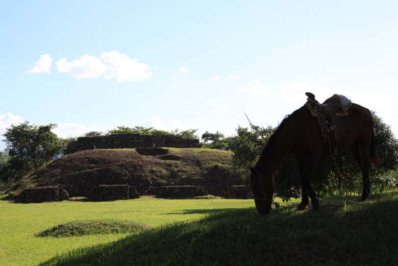 Imagen 4
