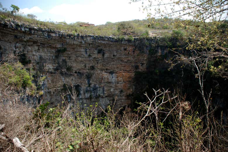 Imagen 4