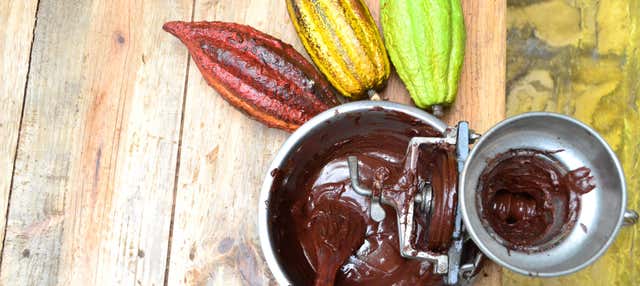 Visita guidata del Museo del Cacao Kakaw