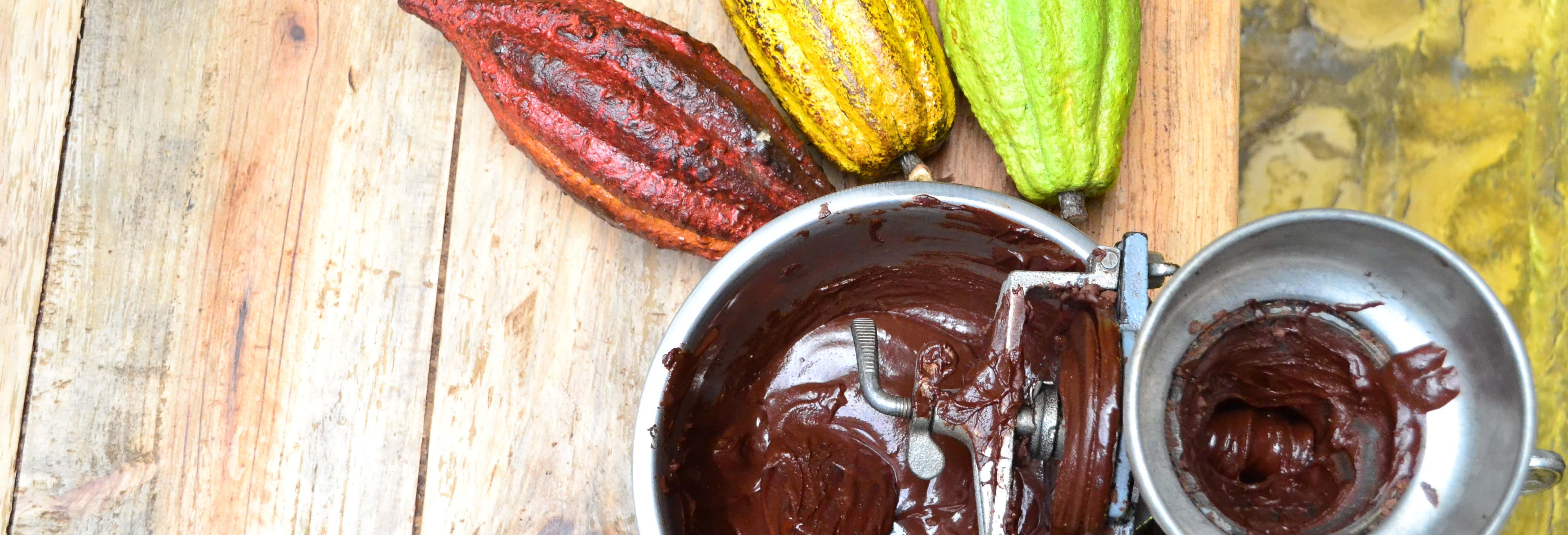 Visita guidata del Museo del Cacao Kakaw