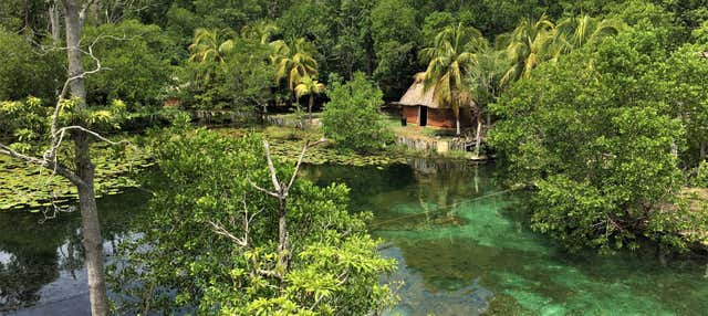 Tour di Los Petenes in motoscafo