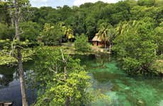 Los Petenes Speedboat Tour