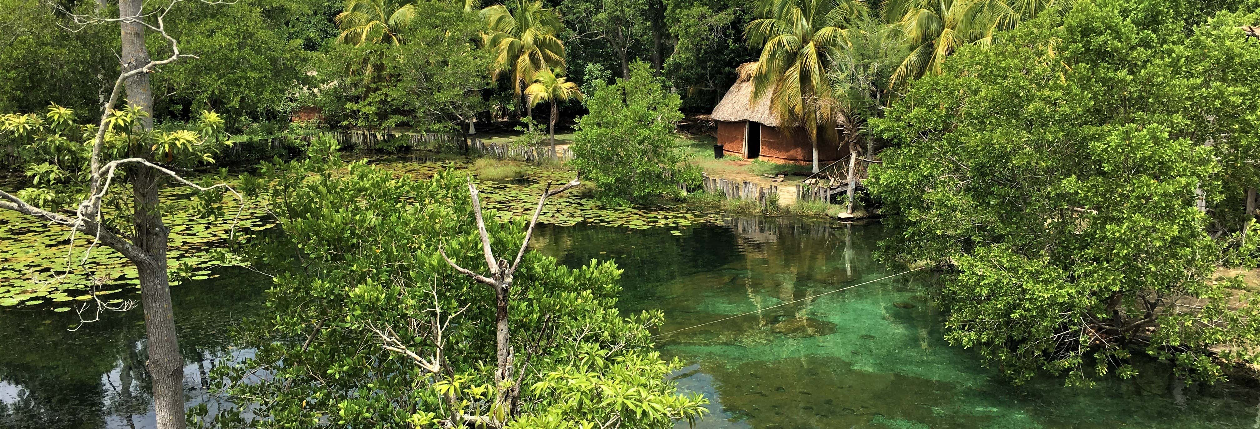 Los Petenes Speedboat Tour