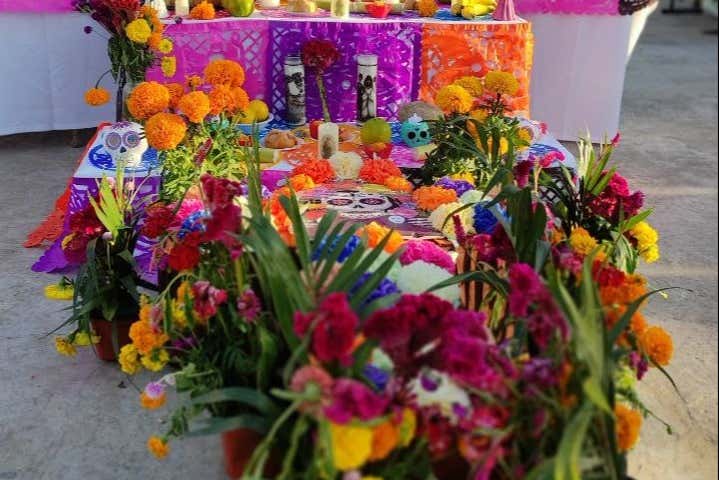 Imagen 7