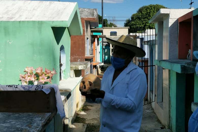 Imagen 8