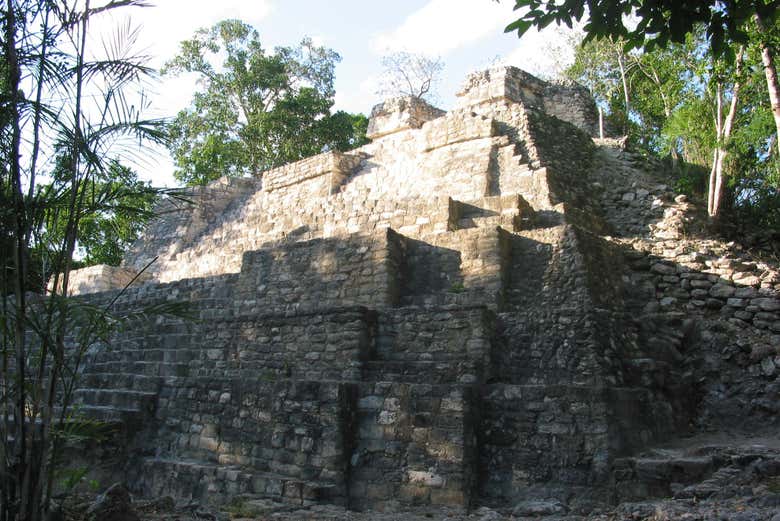 Imagen 5