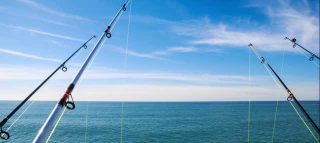 Esperienza privata di pesca a Campeche