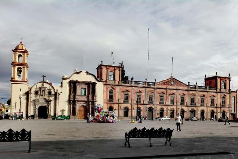 Imagen 5