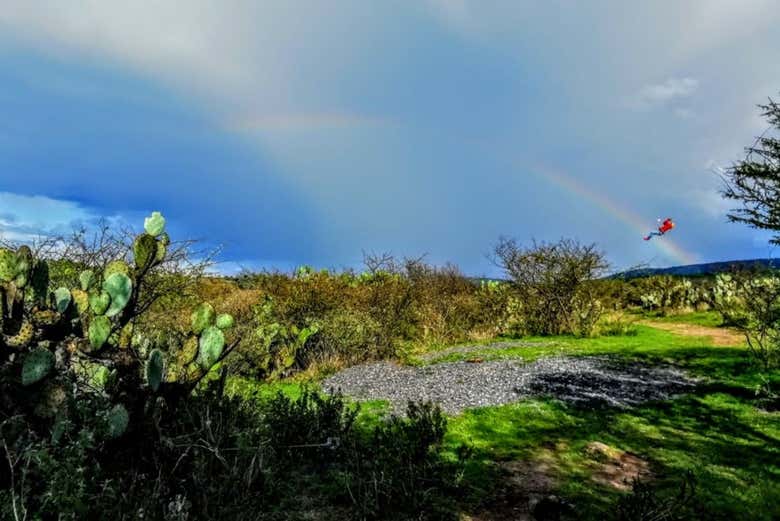 Imagen 7
