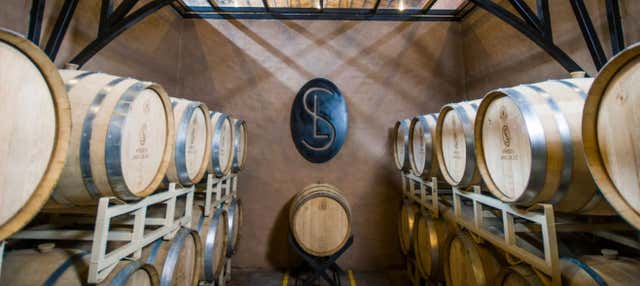 Visita a un vigneto di San Miguel de Allende  + Degustazione di mezcal