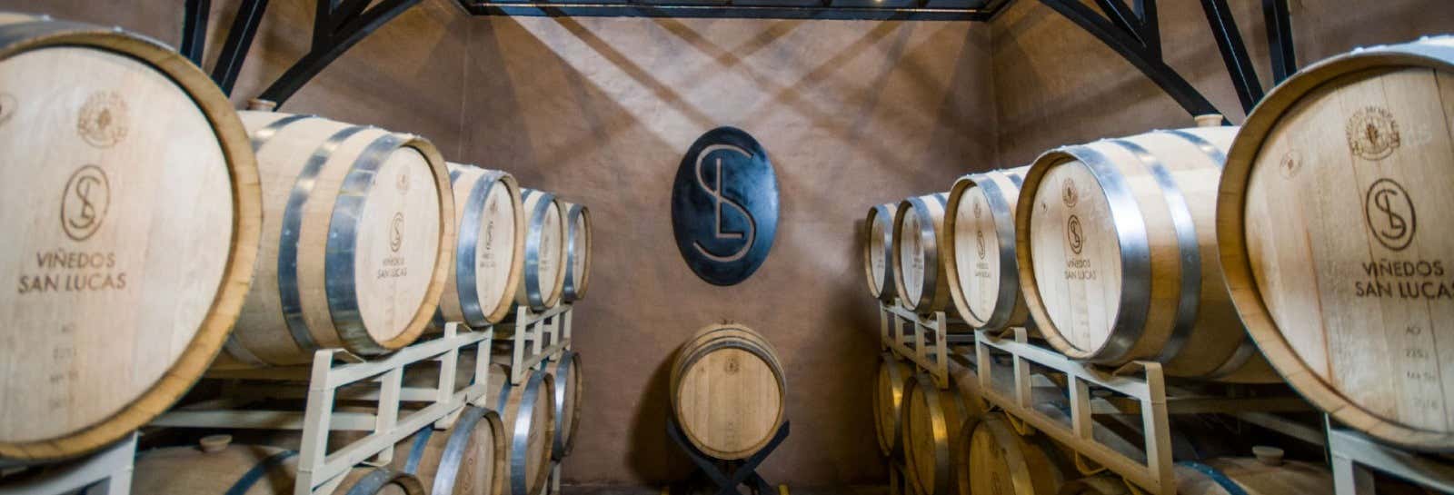 Visita a un vigneto di San Miguel de Allende  + Degustazione di mezcal