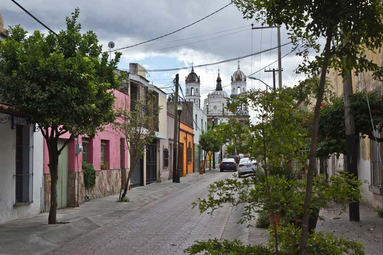 Imagen 7