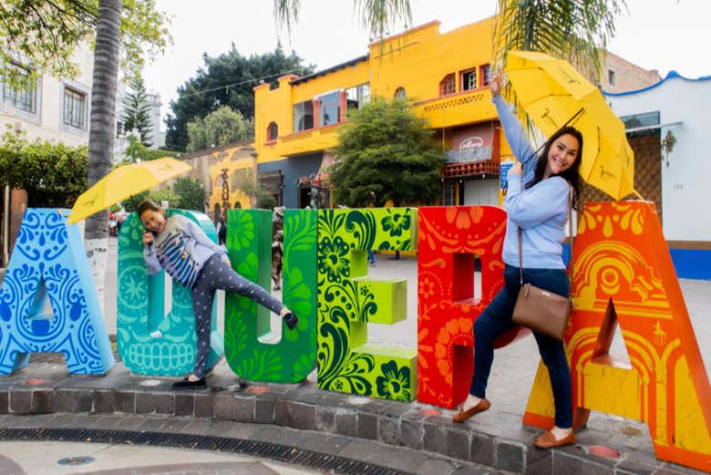 Imagen 10