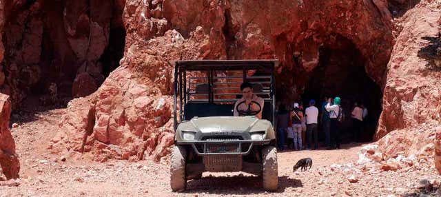 Escursione alla miniera El Redentor + Visita al vigneto Viña TX