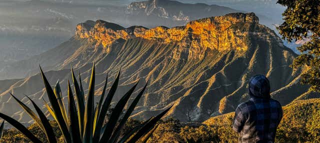 Tour della Sierra Gorda