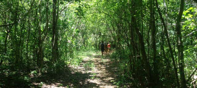 Tour por el Parque Natural Oxwatz
