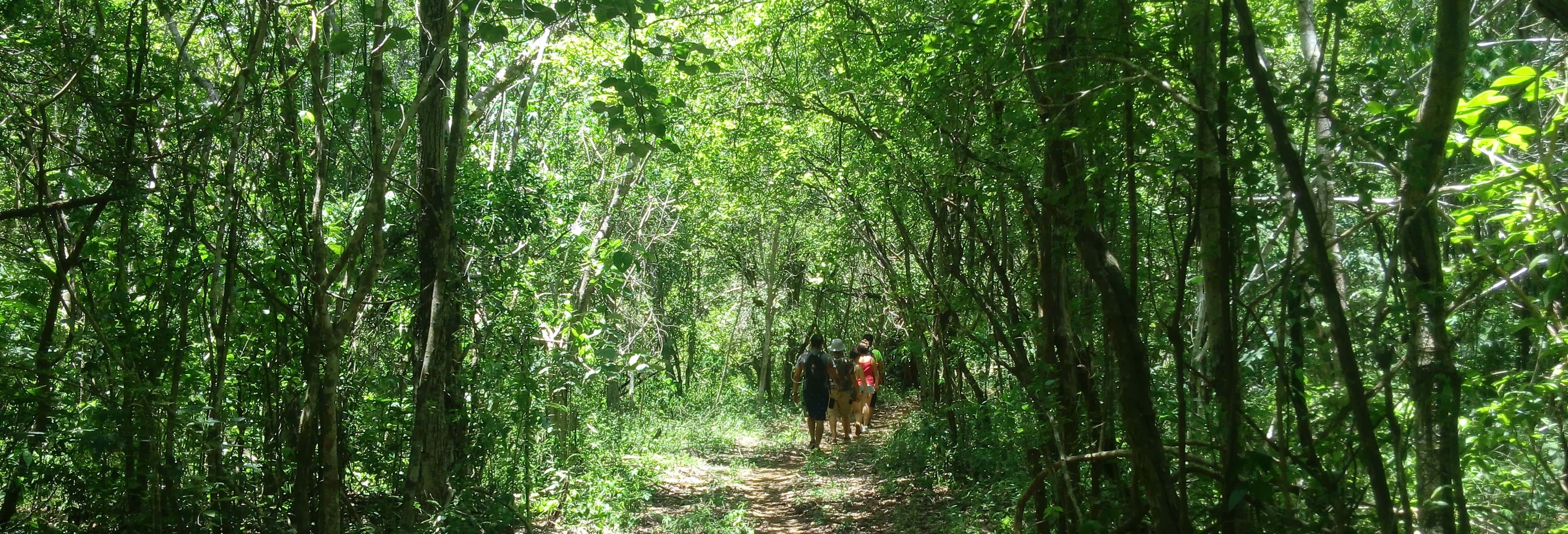 Tour por el Parque Natural Oxwatz