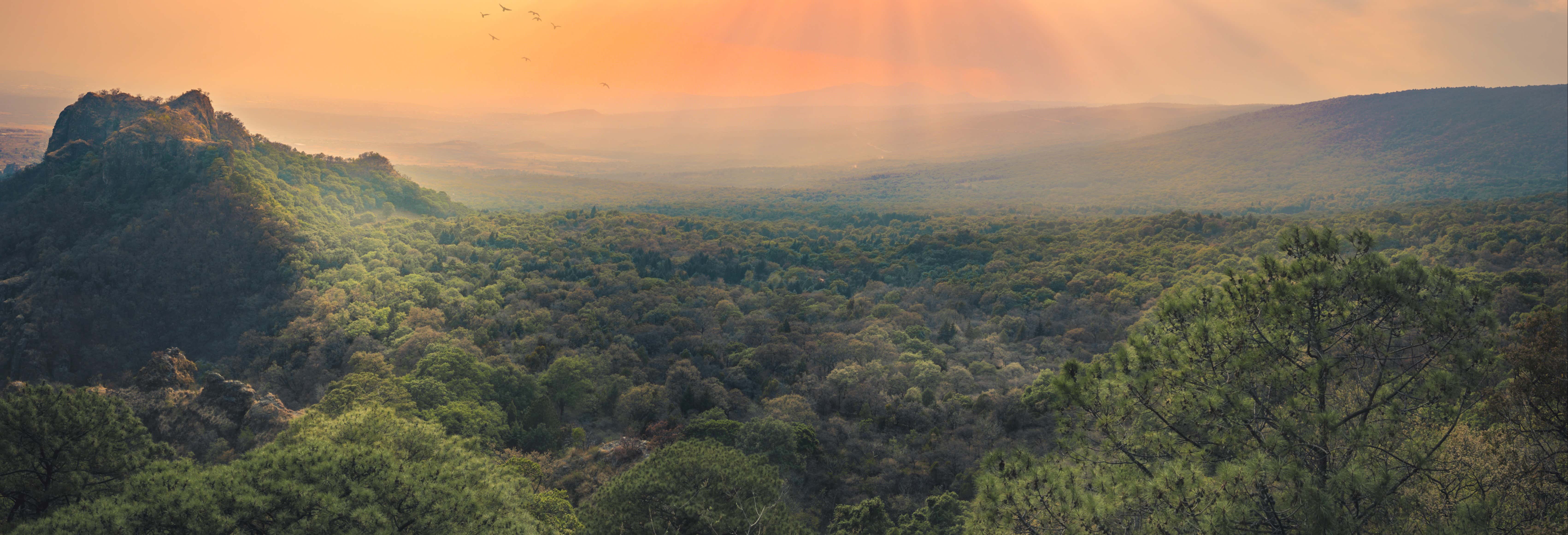 Passeggiata a cavallo a Tepoztlán
