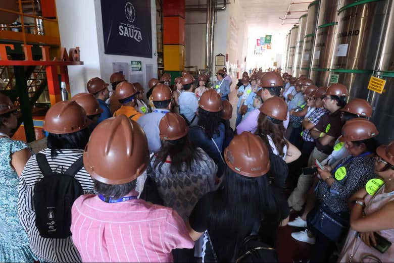 Imagen 6