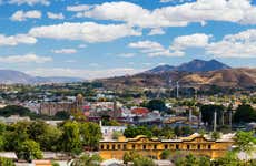 Tequila Sightseeing Tour + Orendain Distillery Tour