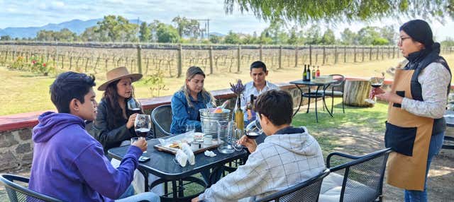 Tour della birra e del vino a Tequisquiapan