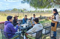 Tequisquiapan Beer & Wine Tour