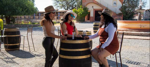 Tour dei vigneti di Tequisquiapan