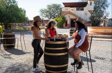 Tequisquiapan Wine Tour