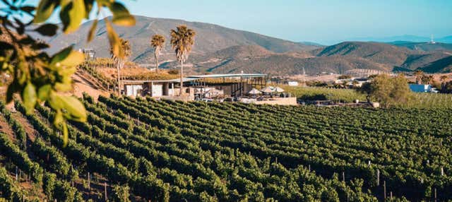 Itinerario del vino nella Valle de Guadalupe