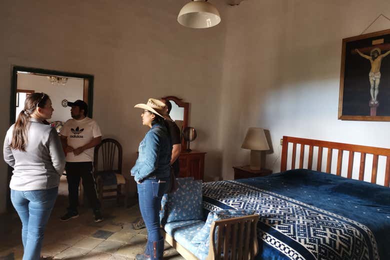 Imagen 8