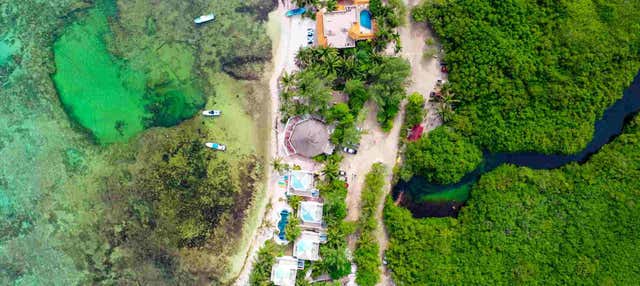 Immersione per principianti a Tulum