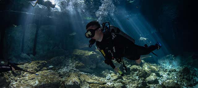 Immersione nel cenote Dos Ojos