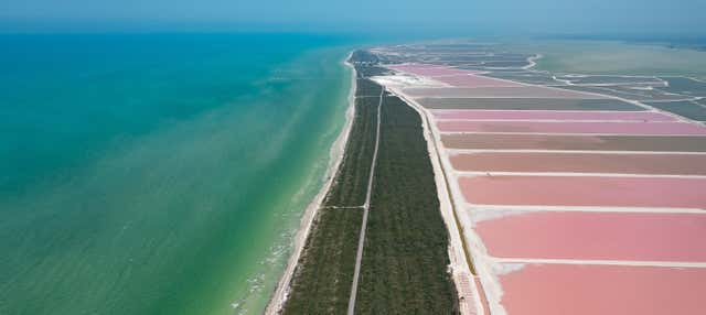 Escursione a Las Coloradas e al Río Lagartos