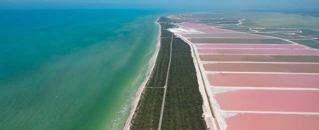 Excursion à Las Coloradas et Río Lagartos