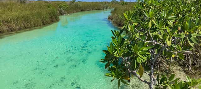 Tour di Muyil e dei canali di Sian Ka'an