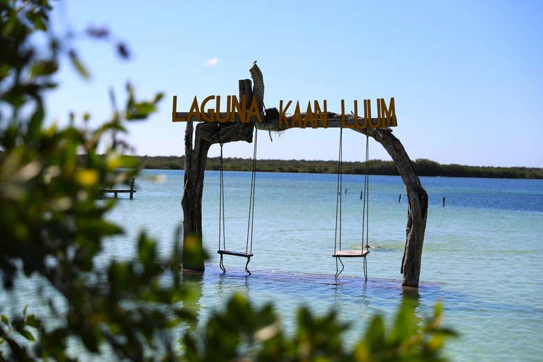 Excursión a la laguna de Kaan Luum y cenotes mayas