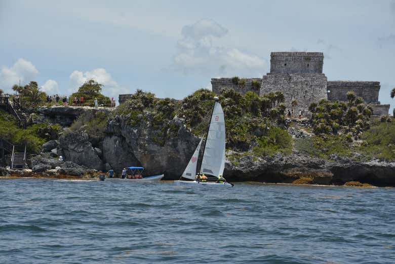 Imagen 5