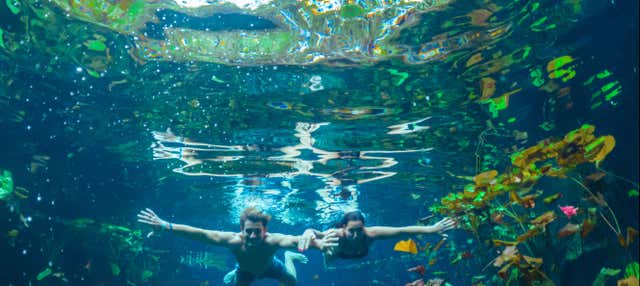 Passeggiata a cavallo a Tulum + Snorkeling in un cenote maya