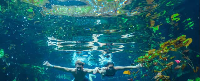 Balade à cheval à Tulum + Snorkeling dans un cénote maya