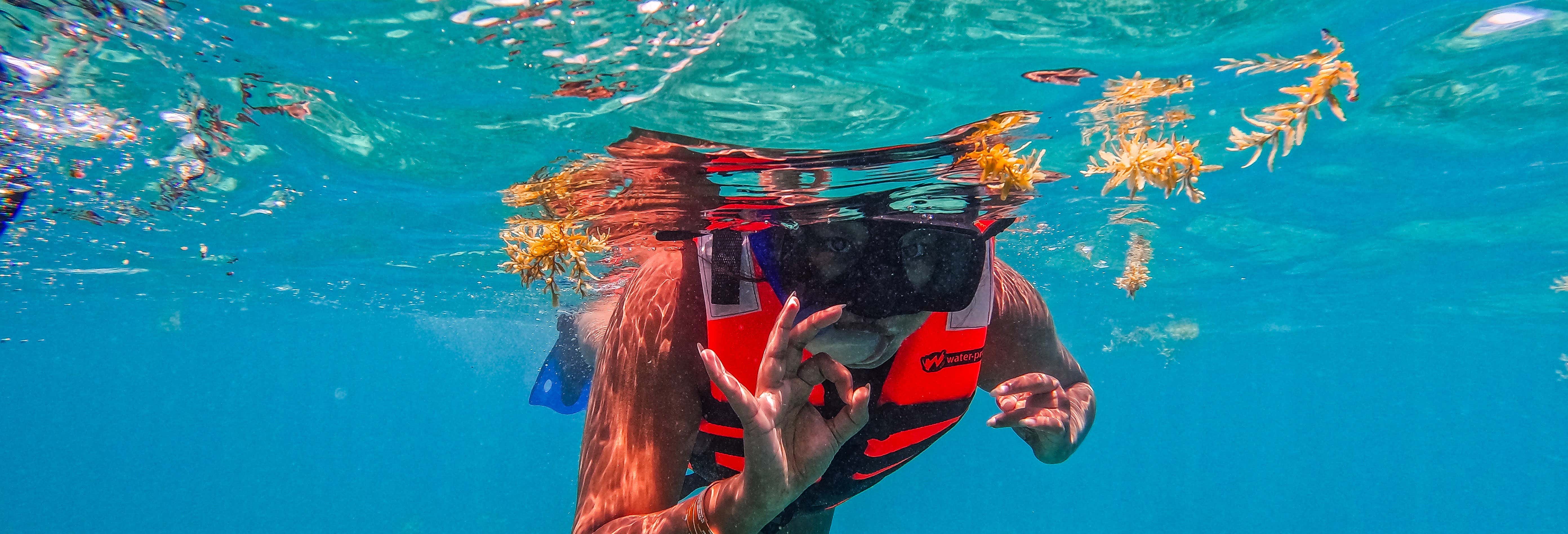 Snorkelling in Tulum