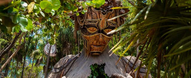 Visite instagram dans Tulum