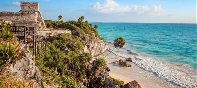 Tulum + Cenote + Scultura Ven a la Luz
