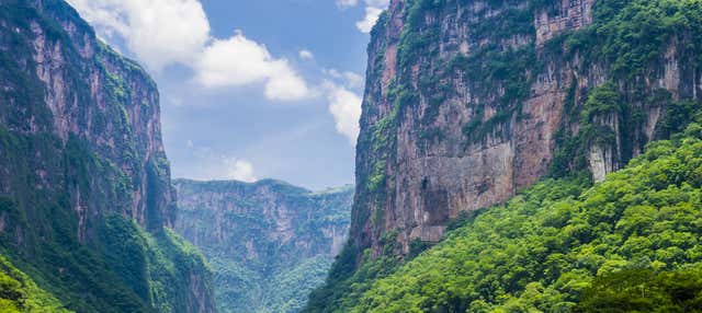 Belvederi del Canyon del Sumidero e del Cristo di Chiapas + Tour di Zoomat