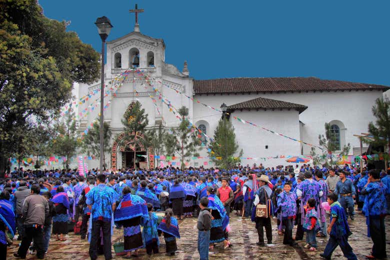 Imagen 6