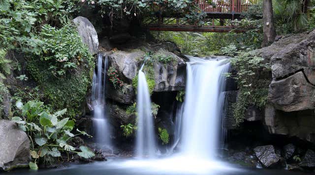 Uruapan