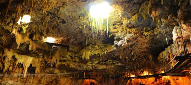 Tour dei cenote di Valladolid