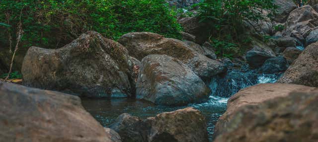 Passeggiata a cavallo alla cascata Velo de la Novia