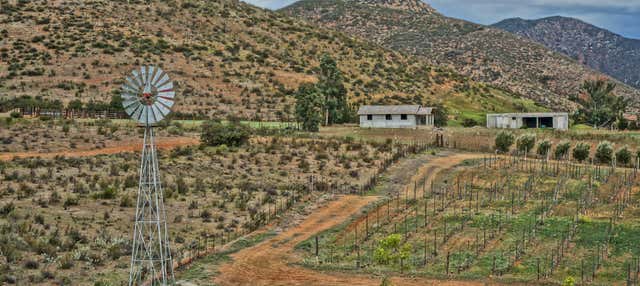 Autobus turistico della Valle di Guadalupe
