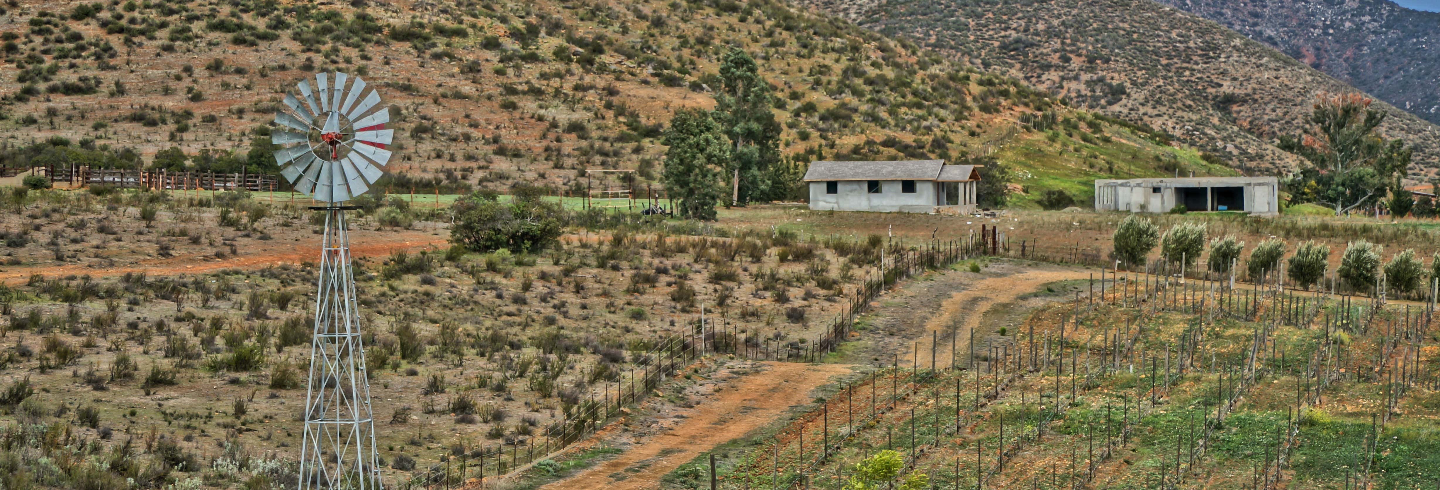 Autobus turistico della Valle di Guadalupe